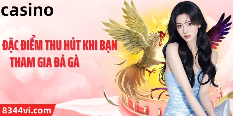Hình ảnh quảng cáo của hot54 hiển thị nền tảng và các lợi ích